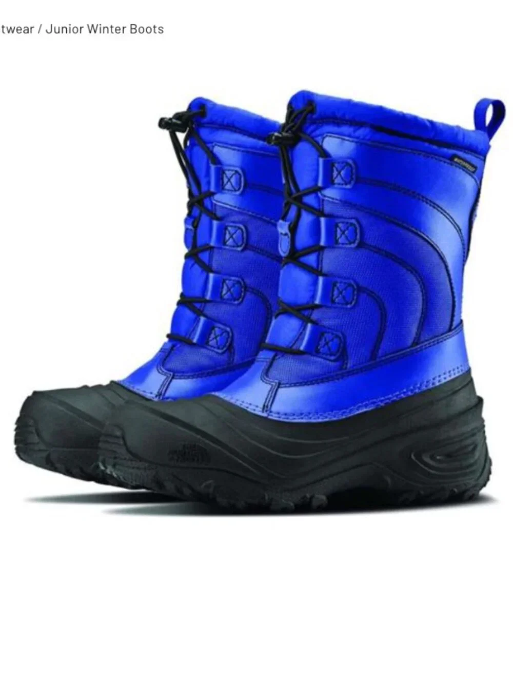 The North Face Boys Kids Size 10C Alpenglow IV Insulated Waterproof Winter Boots